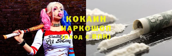 гашик Арсеньев