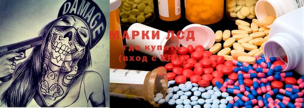 шишки Армянск