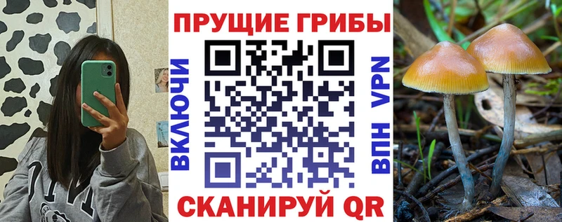 наркошоп  Бавлы  Псилоцибиновые грибы ЛСД 